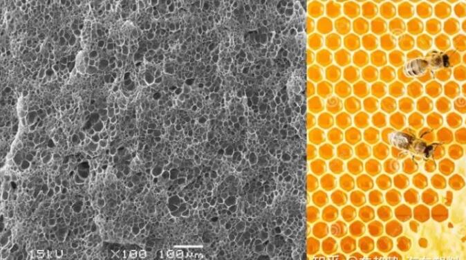 epp發泡聚丙烯的顯微結構，可以看到這是種連續閉孔結構，類似于蜂窩